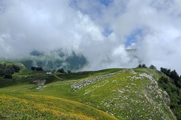 mamzychshha-2C85A1C9E-2404-8512-8C5B-8BB76A7BA0C0.jpg
